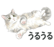 837767619