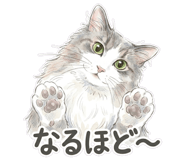 837767637