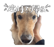 837768617
