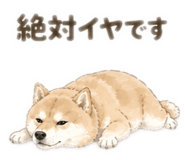837768971