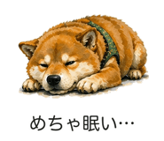 837771313