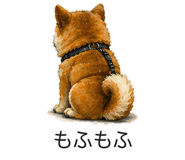 837771317