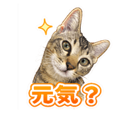 837772665