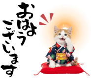 837772820