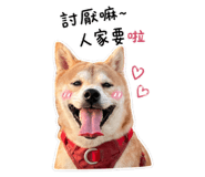 837773605