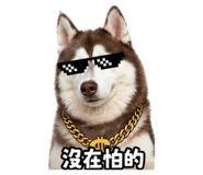 837773620