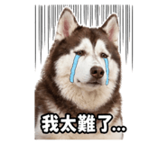 837773622