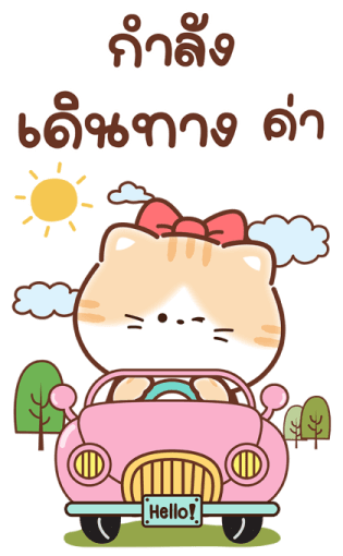 เหมียวส้ม ขาสั้น สุดคิ้วท์ คำแชทน่ารัก 5