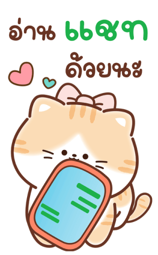 เหมียวส้ม ขาสั้น สุดคิ้วท์ คำแชทน่ารัก 15