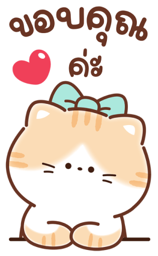 เหมียวส้ม ขาสั้น สุดคิ้วท์ คำแชทน่ารัก 16