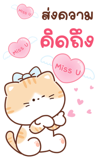 เหมียวส้ม ขาสั้น สุดคิ้วท์ คำแชทน่ารัก 19