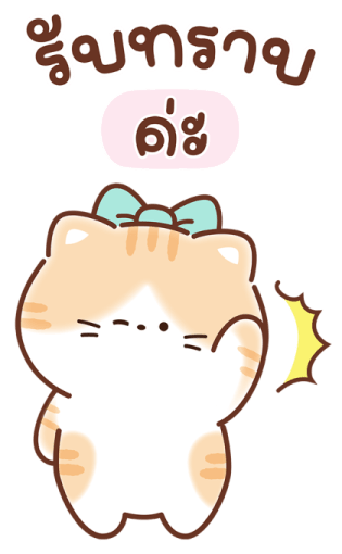 เหมียวส้ม ขาสั้น สุดคิ้วท์ คำแชทน่ารัก 22