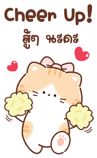เหมียวส้ม ขาสั้น สุดคิ้วท์ คำแชทน่ารัก 23
