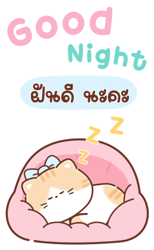 เหมียวส้ม ขาสั้น สุดคิ้วท์ คำแชทน่ารัก 24