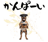 837777702