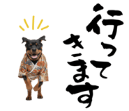 837777715