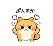 837778067