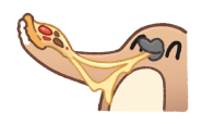837778735