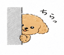 837782253