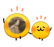 837785545
