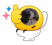 837785548