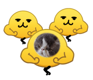 837785552