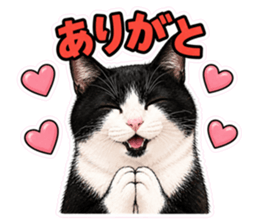 837788404