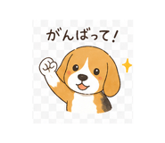 837790098
