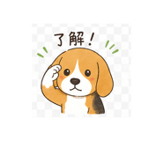 837790100