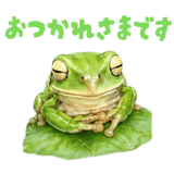 837792139