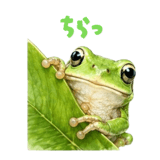 837792166