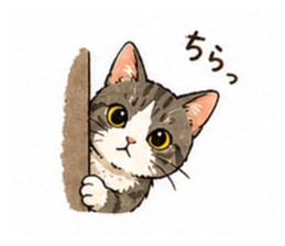 837794472