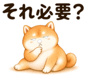 837794771