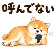 837794773