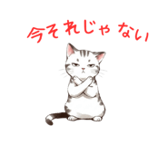 837794855