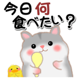 837797953
