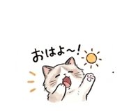 837798481