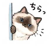 837798488