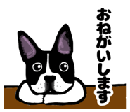 837798510