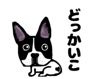 837798517