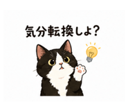 837798646