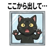 837800303