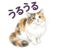 837800576