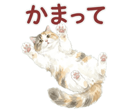 837800597