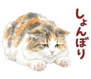 837800601