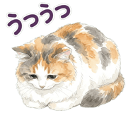 837800603