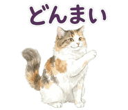 837800604