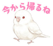 837800751