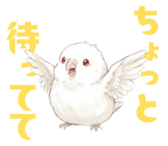 837800752
