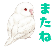 837800757